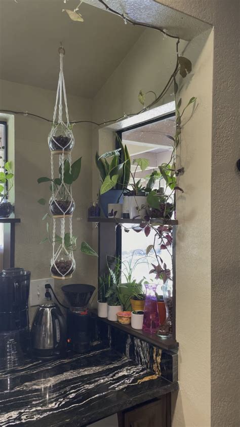 Image result for Window Sill Cottage Core