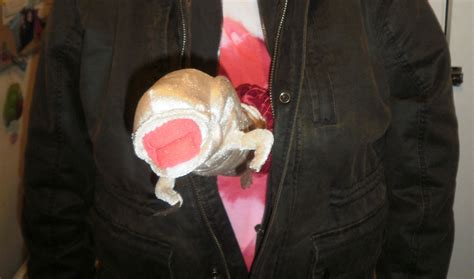 Image result for Alien Chest Costume