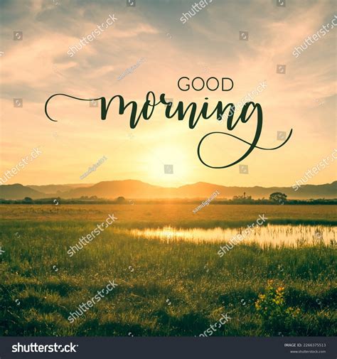 Good Morning Everyone Stock Photos and Pictures - 272 Images | Shutterstock