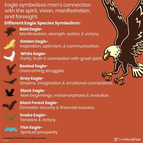 Eagle Meaning and Symbolism: A Comprehensive Guide | TheMindFool