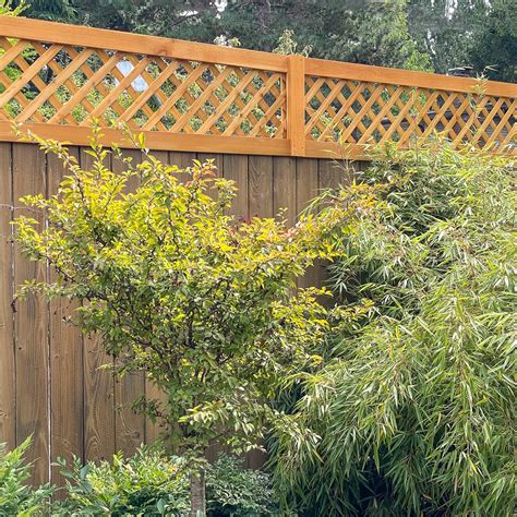 Image result for How to Build a Trellis