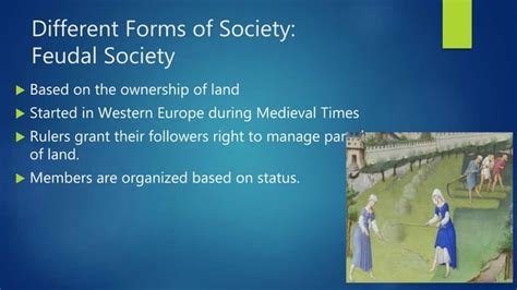 Example of Society Forms 的图像结果
