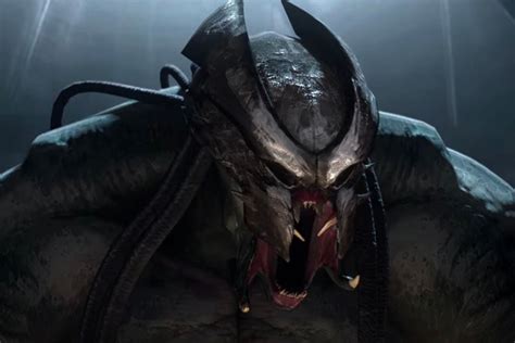 Predator Animation 的图像结果