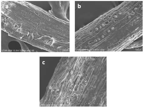 Effects of Organic Solvents on the Organosolv Pretreatment of Degraded ...
