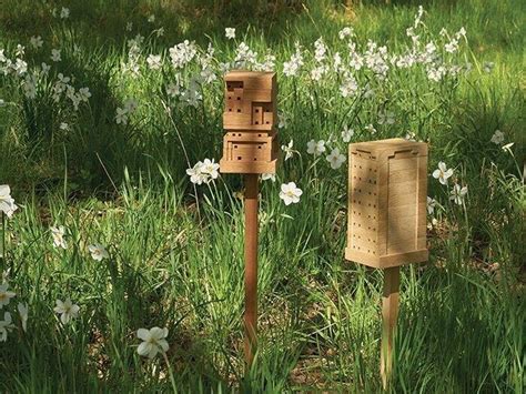 Улей для диких пчел - 10 различных вариантов | реализация руками smutps.ru