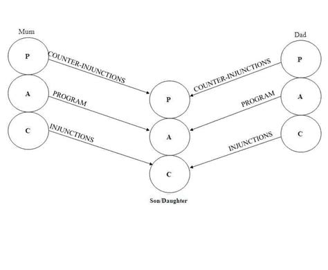 Script Analysis Examples 的图像结果