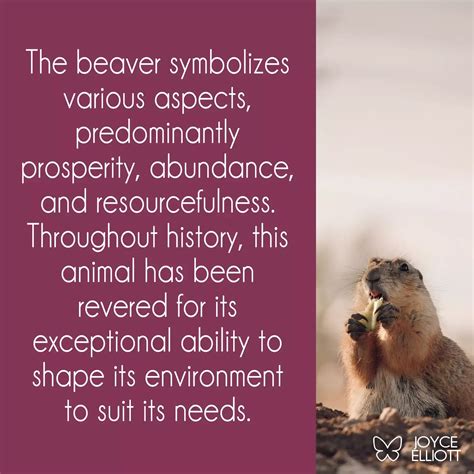 Beaver symbolism nature s master builder and its deep spiritual significance – Artofit