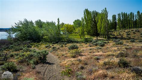 Wanapum State Park Campground