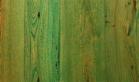 All You Need To Know About Green Hardwood Flooring - Flooring Designs