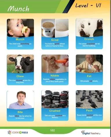 English Vocabulary Builder Software | Digital language lab