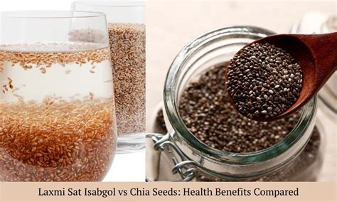 Isabgol vs Chia Seed: Which is Better for Digestion, Weight & Gut ...