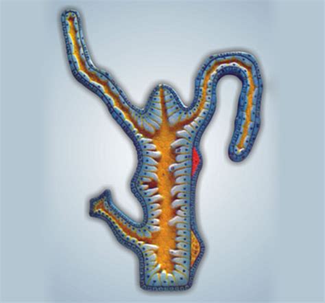 SCIENCE LAB SUPPLIES