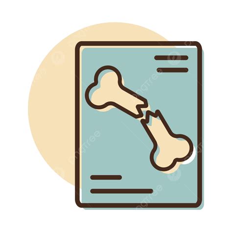 Bone Fracture X Ray Scan Vector Icon Flat Care Radiography Vector, Flat, Care, Radiography PNG ...