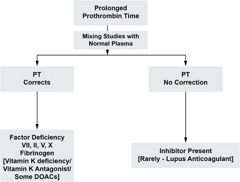 Manual Prothrombin Time Test Procedure at James Aviles blog