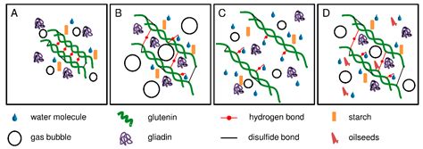 Water Absorption Capacity Determines the Functionality of Vital Gluten ...