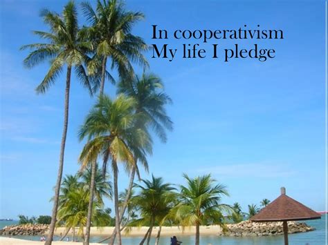 Cooperative Pledge 的图像结果