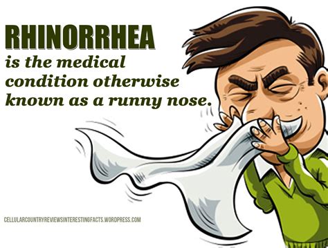 Rhinorrhe Browse Preprints Authorea - what is rhinorrhea
