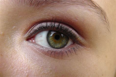 Eye Makeup For Dark Brown Hair And Green Eyes - Makeup Vidalondon