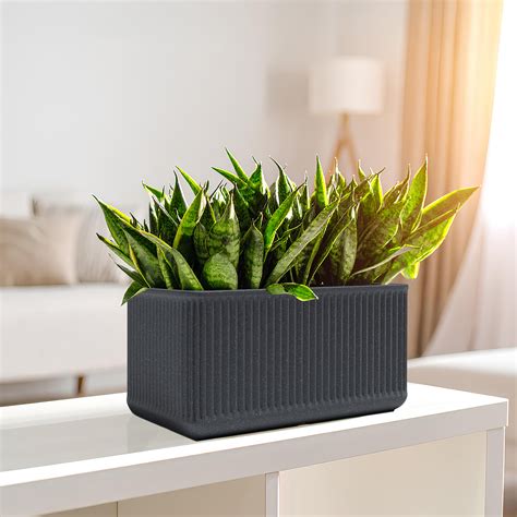 How to Secure Plants in Planters: Simple Tips to Prevent Falling & Dam