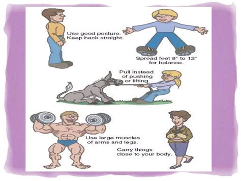 Principles of body mechanics | PPTX