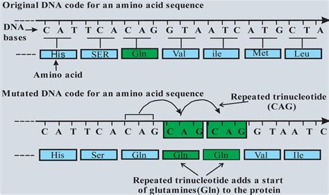 Image result for Mutation Codes