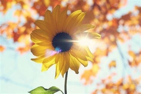 Where is My Sunshine? | Positivity Works!
