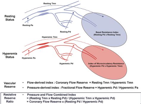Prognostic Implications of Resistive Reserve Ratio in Patients With Coronary Artery Disease ...