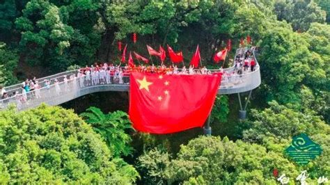 China Flay 的图像结果