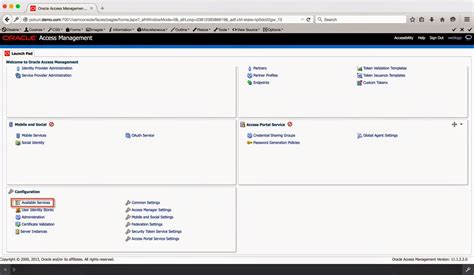 OAM Oracle 的图像结果