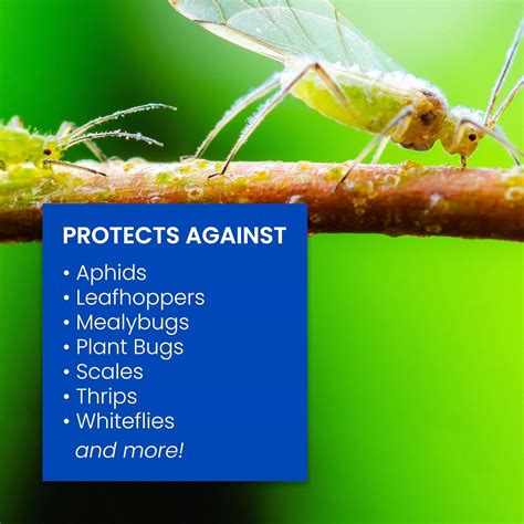 Buy Bayer Crop Science 701290B Insecticide Fungicide Miticide 3-in-1 ...