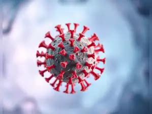 HMPV Virus cases: Could the surge of HMPV virus trigger job market ...