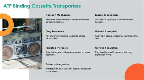 Rezultat imagine pentru ATP Process