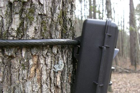 Image result for Python Cable Lock