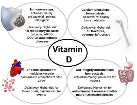 Frontiers | An update of the effects of vitamins D and C in critical illness