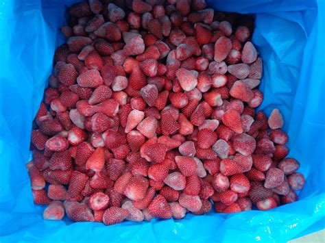 Fresa Congelada en Grupo Anahuac de México - ppfam.com