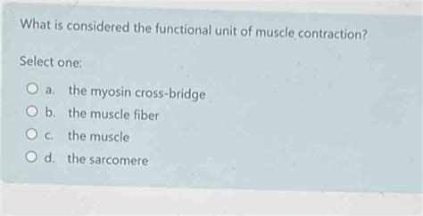 Image result for Muscle Contraction Functional Task