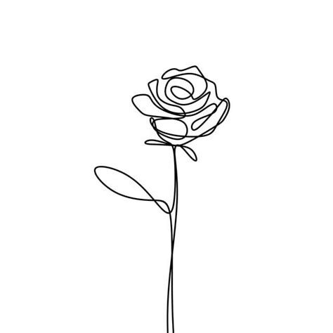rose drawing minimalist