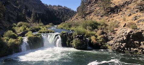 Steelhead Falls, Oregon - 1,565 Reviews, Map | AllTrails