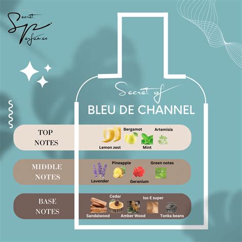 PS -17 SECRET OF BLEU DE CHANEL – Secretperfumes