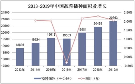 2021-2026年中国蔬菜行业市场供需格局及行业前景展望报告 - 知乎