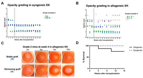 Assessment of Corneal Graft Outcomes in a Murine Model of Endothelial ...