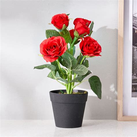 Buy Corsica Artificial Rose Plant in Pot from Corsica by Home Centre at ...