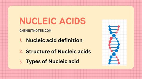 Image result for Nucleic Acid Structure