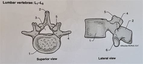 Image result for Code L5