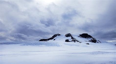 Antarctica is classified as a desert because of its limited rainfall it ...