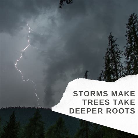 Fausett Mortuary - Price | Price UT