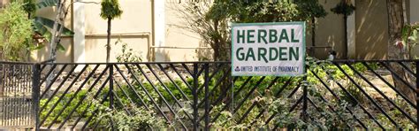 United Institute of Pharmacy