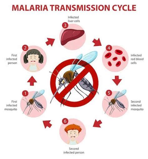 Malaria-Free Countries II Malaria disease II Current Affairs