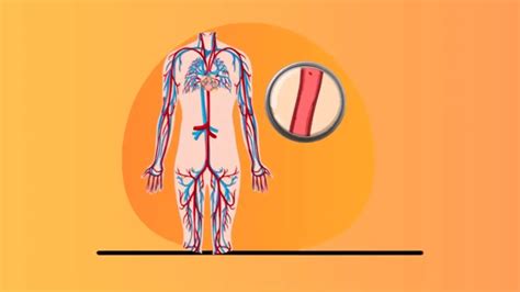 Medication Animation 的图像结果