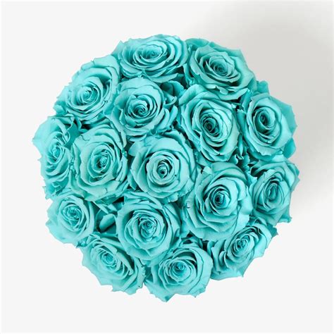 Infinity Roses | Medium Bloom Rose Box